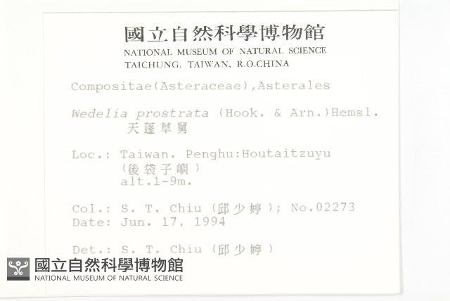 天蓬草舅藏品圖，第2張