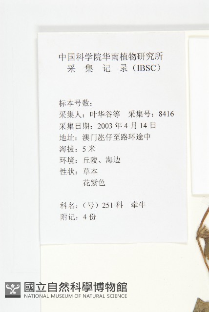 裂葉牽牛藏品圖，第2張