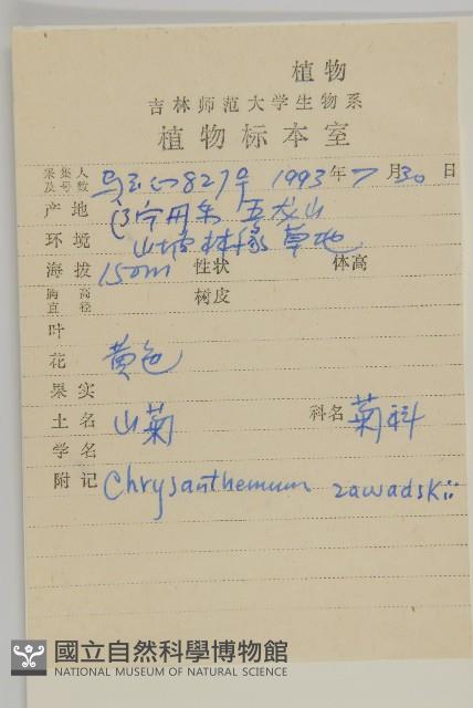 山菊藏品圖，第2張