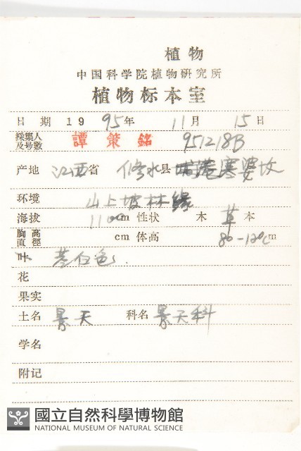 景天藏品圖，第2張