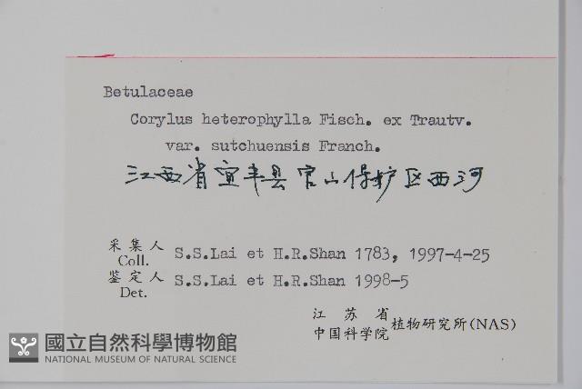 川榛藏品圖，第2張