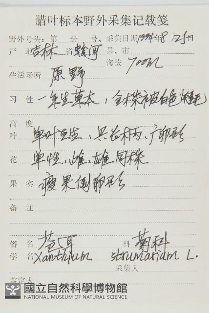 蒼耳藏品圖，第2張