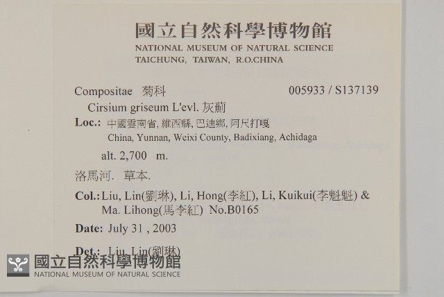灰薊藏品圖，第2張