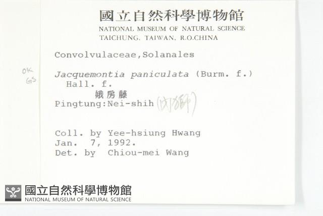 娥房藤藏品圖，第2張