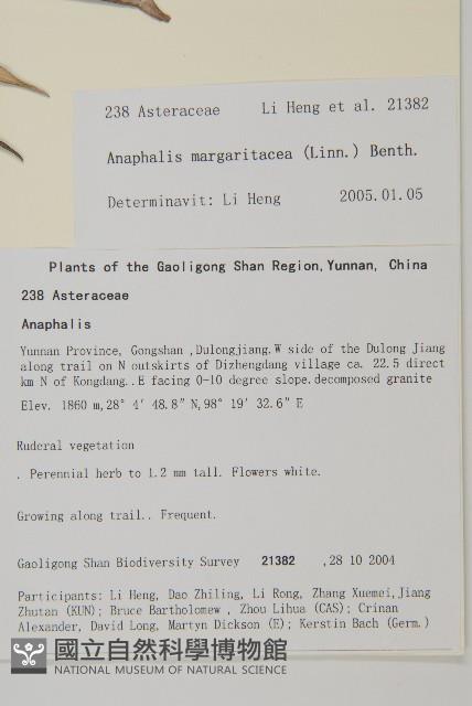 抱莖籟簫藏品圖，第2張