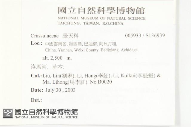 Accession Number:S136939 Collection Image, Figure 2, Total 2 Figures