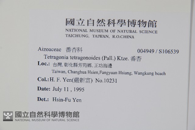 番杏藏品圖，第2張