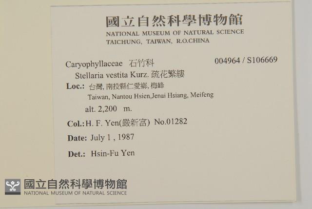 疏花繁縷藏品圖，第2張