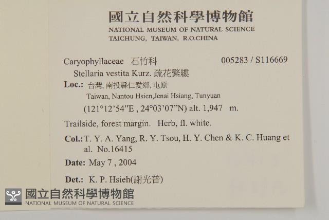 疏花繁縷藏品圖，第2張