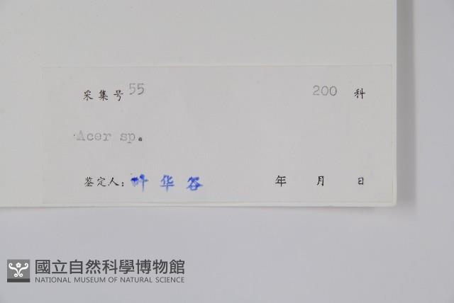登錄號:S037669藏品圖，第2張