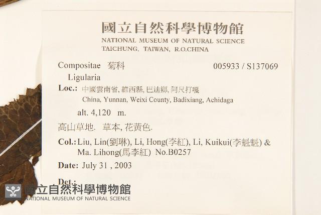 登錄號:S137069藏品圖，第2張