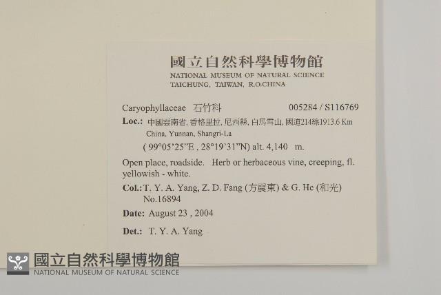 登錄號:S116769藏品圖，第2張