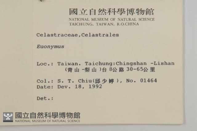 登錄號:S007769藏品圖，第2張