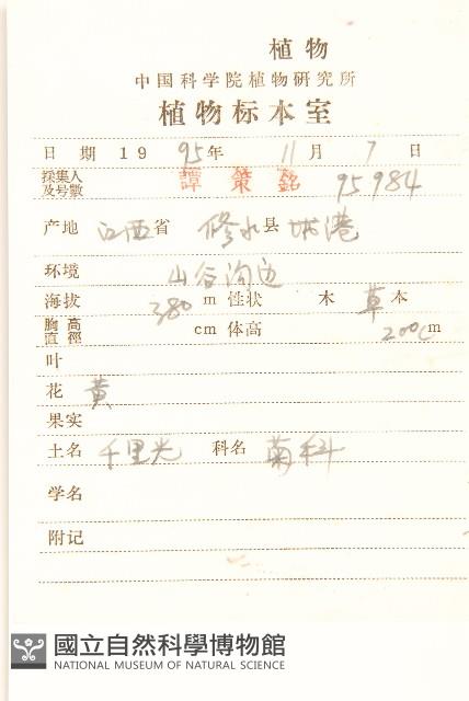 蔓黃菀藏品圖，第2張