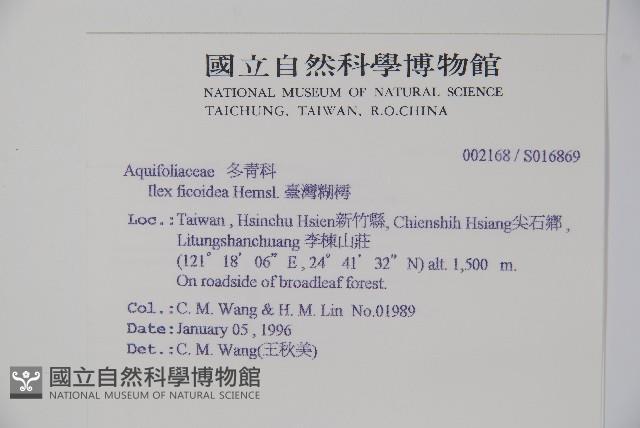 臺灣糊樗藏品圖，第2張