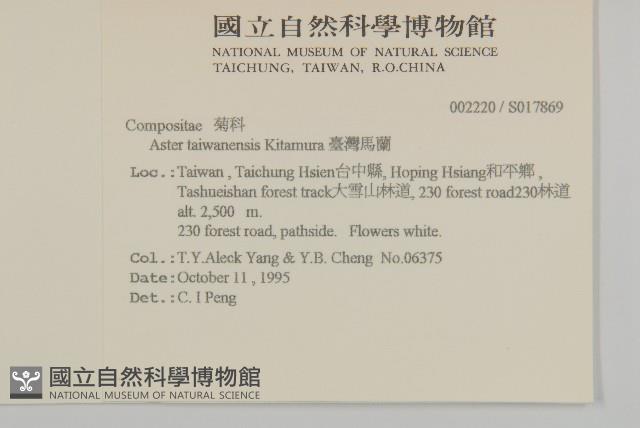 臺灣馬蘭藏品圖，第2張