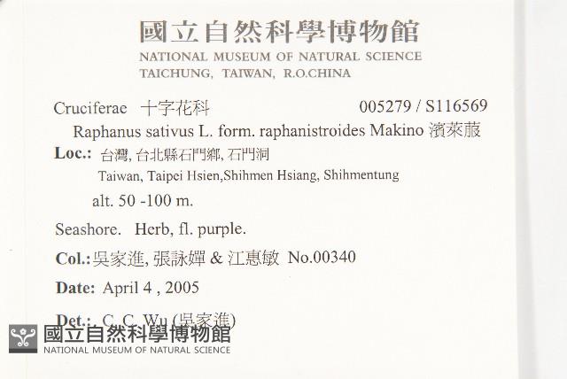 Accession Number:S116569 Collection Image, Figure 2, Total 2 Figures