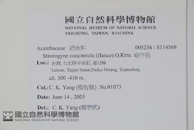 哈哼花藏品圖，第2張