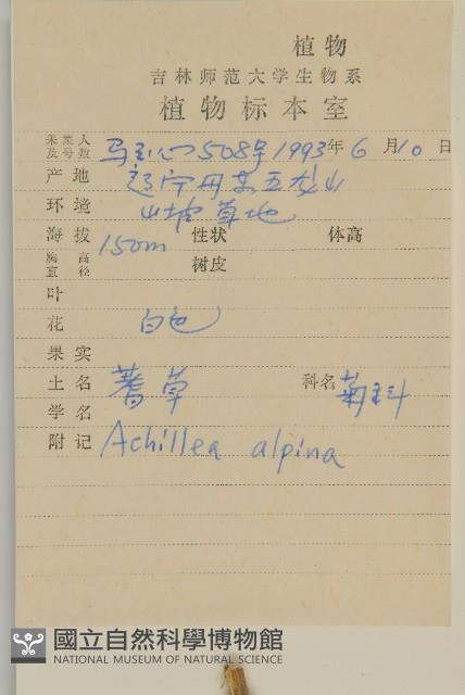 蓍草藏品圖，第2張