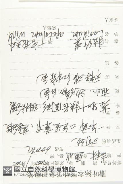 腺獨行菜藏品圖，第2張