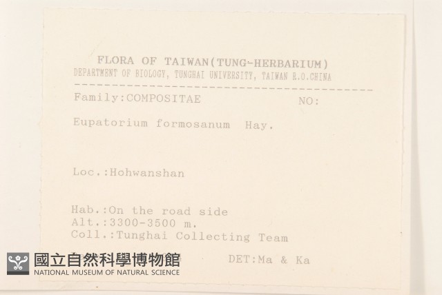 臺灣澤蘭藏品圖，第2張