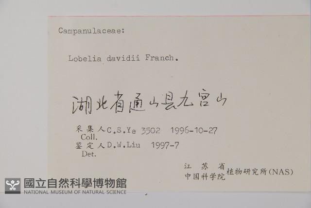 Accession Number:S055649 Collection Image, Figure 2, Total 2 Figures