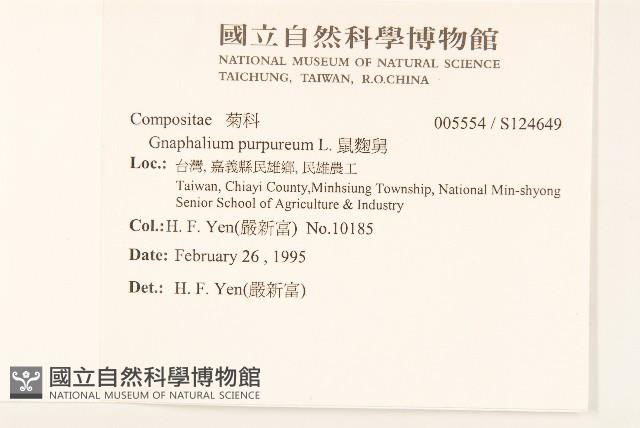 鼠麴舅藏品圖，第2張