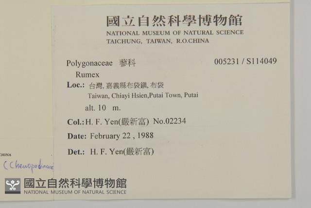 馬氏濱藜藏品圖，第2張