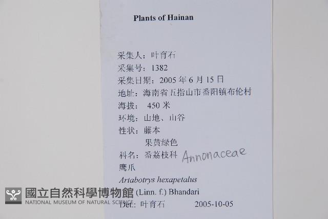 鷹爪花藏品圖，第2張