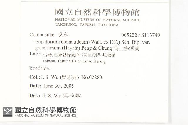 高士佛澤蘭藏品圖，第2張