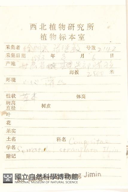 蘊苞麻花頭藏品圖，第2張