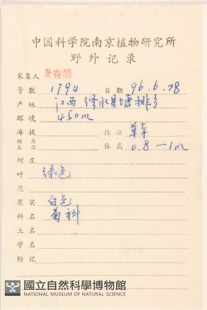 林生假福王草藏品圖，第2張