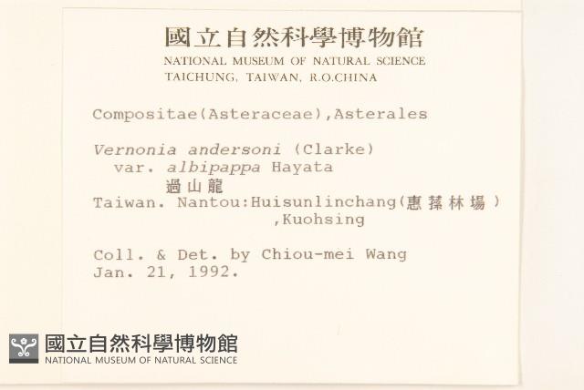 過山龍藏品圖，第2張