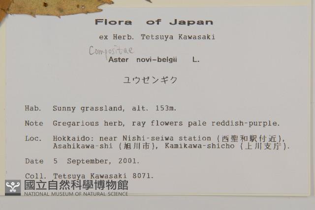 友禪花藏品圖，第2張