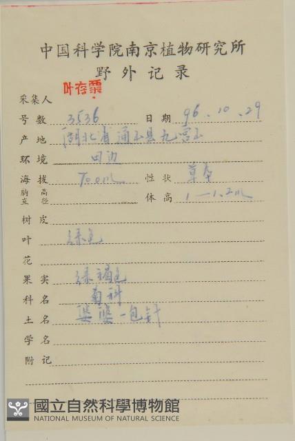 鬼針舅藏品圖，第2張