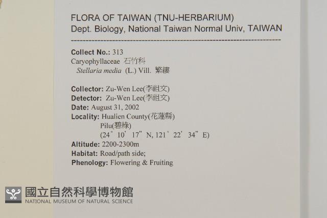 繁縷藏品圖，第2張