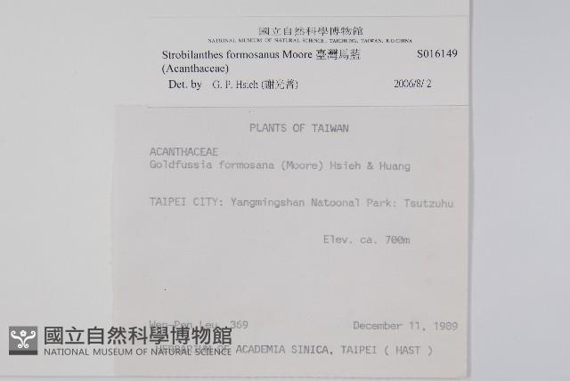 馬藍藏品圖，第2張