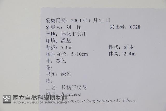 長葉野扇花藏品圖，第2張