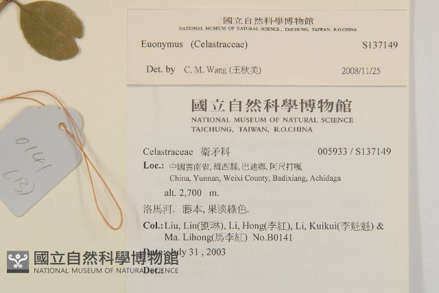 登錄號:S137149藏品圖，第2張