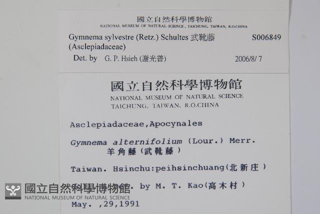 武靴藤藏品圖，第2張