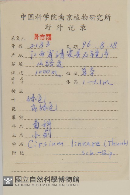 華薊藏品圖，第2張