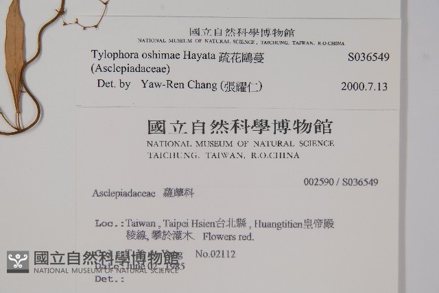 疏花鷗蔓藏品圖，第2張