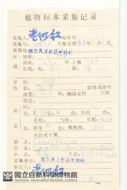 薺藏品圖，第2張