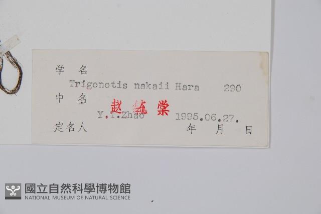 森林附地菜藏品圖，第2張