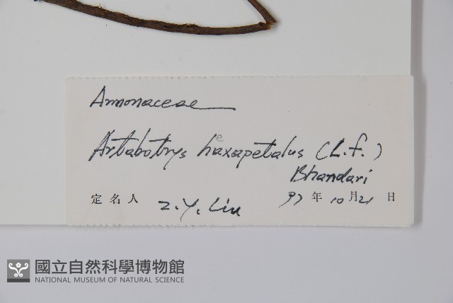 香鷹爪花藏品圖，第2張
