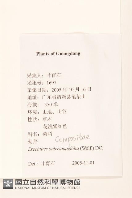 飛機草藏品圖，第2張