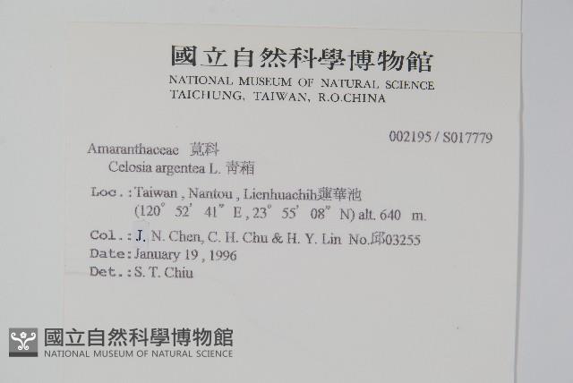 青葙藏品圖，第2張