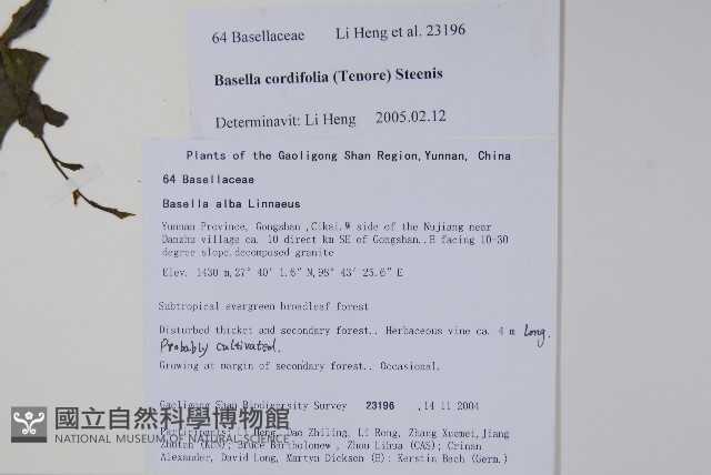 登錄號:S106279藏品圖，第2張