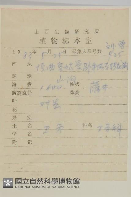 衛矛藏品圖，第2張