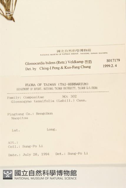 香茹藏品圖，第2張